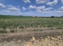 Продаж земельної ділянки комерційного призначення 86,76 сотих в Смиківцях фото 1 Продаж земельної ділянки комерційного призначення 86,76 сотих в Смиківцях фото 1