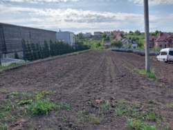 Продається земельна ділянка 10 сот під забудову с. Гаї Шевченківські фото 10 Продається земельна ділянка 10 сот під забудову с. Гаї Шевченківські фото 10