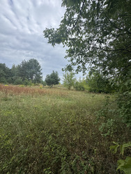 Земельна ділянка в с. Великі Бережці фото 3 Земельна ділянка в с. Великі Бережці фото 3