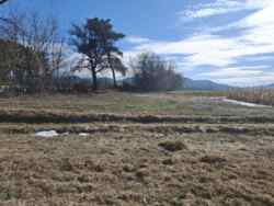 ������ �������� ������ ���� 4