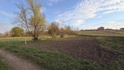 ��������� �������� ������ � �������� ���������. ���� 3