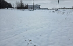 ������ �������� ������ ��������������������� �����������, ����� 20 ����� ���� 5