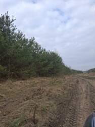 ������ �������� ������ �.����� ���� 2