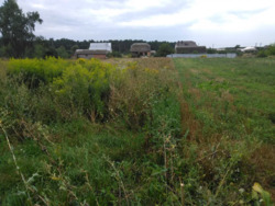 ������ �������� ������ ���� 5