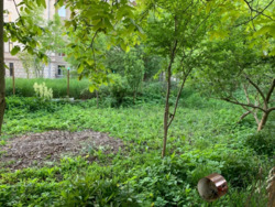 ������ �������� ������ 7 ����� � �������� �� ������ ������ ���� 4