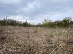 ������ �������� ������ �� ���������� �.��������� ���� 8