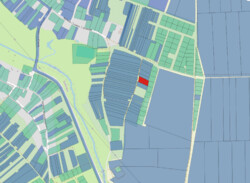 ��������� �������� ������ ��� ���������� �������, �. �������, 17 ����� ���� 4