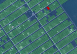 Продаж земельної ділянки сільськогосподарського призначення, площа 6 соток фото 5 Продаж земельної ділянки сільськогосподарського призначення, площа 6 соток фото 5