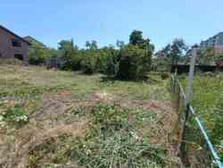 ������ �������� ������ �� �������� ������� ������ ��������� ���� 31