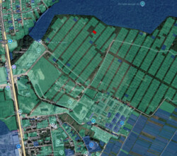 ������ �������� ������ �� ����������, �.�������� ���� 4