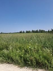 Продаж земельної ділянки під забудову м.Почаїв фото 1 Продаж земельної ділянки під забудову м.Почаїв фото 1