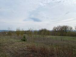 ��������� �������� ������ �� �������� � �. ����������� ���� 11