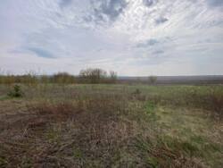 ��������� �������� ������ �� �������� � �. ����������� ���� 7