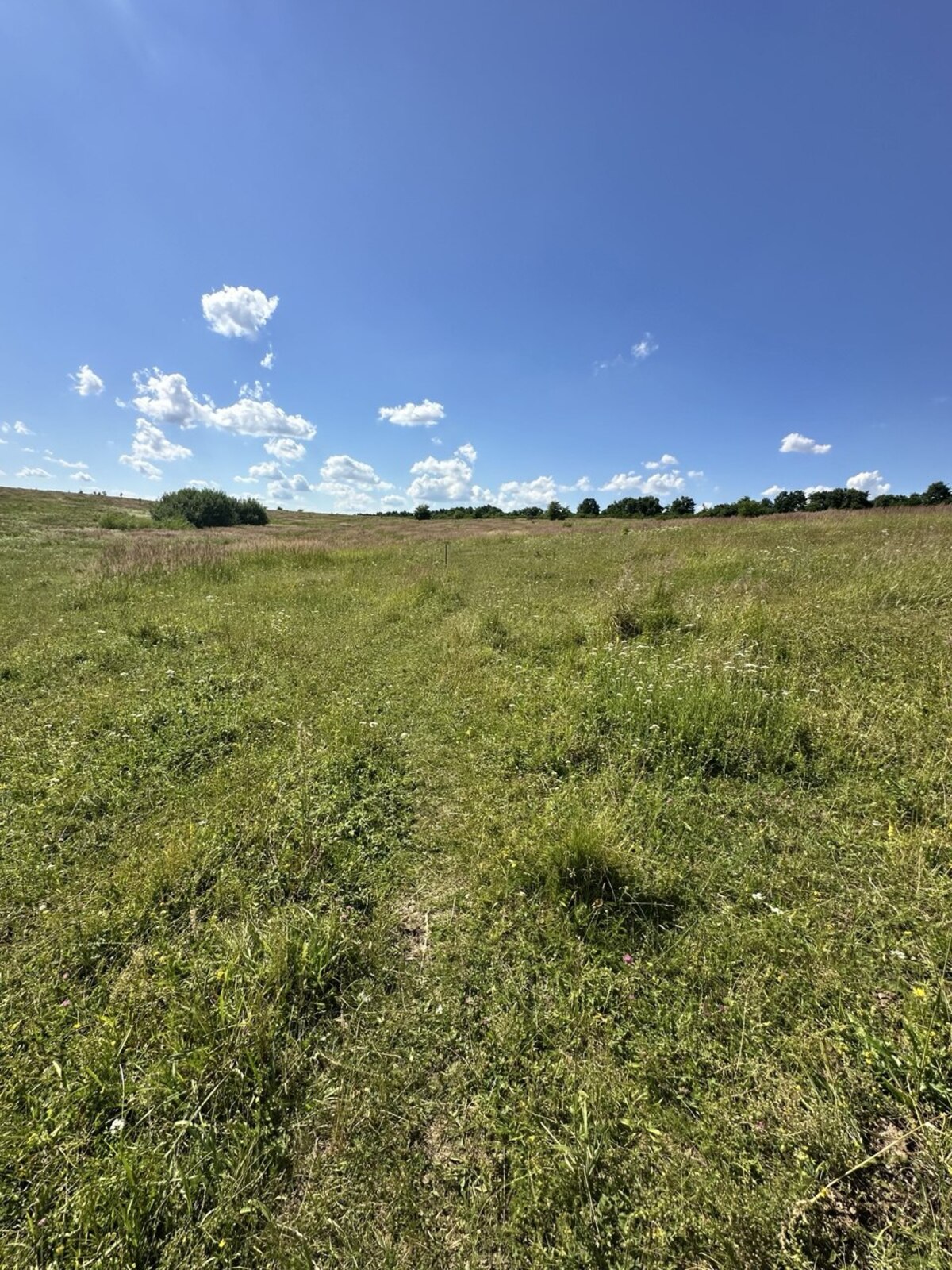 ��������� ������ ������������, ����������� ���� 1