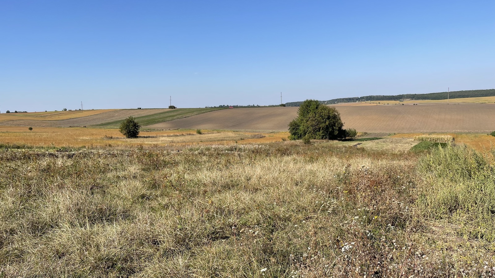 🌳 Пропозиція! Земельна ділянка в с. Лісові Гринівці! 🏞 фото 1 🌳 Пропозиція! Земельна ділянка в с. Лісові Гринівці! 🏞 фото 1