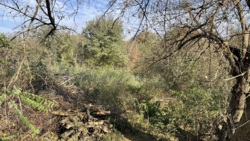 ĳ  - ³    ! 🚀  5