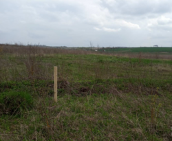 ������ �������� ������ 10 ��� ( 2 ������ �� 10��� ����� ����� =20��� ) ���� 5