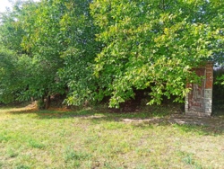 🌱🏡  ĳ   ! 🏞🌳  14