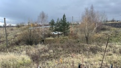 🌳          ! 🌳  7