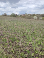 ������ �������� ������ �������� ���� 11