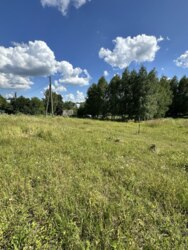 ��������� ������ ������������, ����������� ���� 5