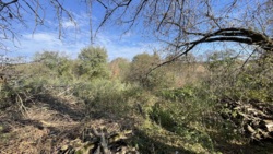 ĳ  - ³    ! 🚀  6