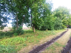 🌱🏡  ĳ   ! 🏞🌳  9