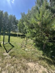 ��������� ������ ������������, ����������� ���� 2