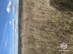 ��������� ������ �����������, ������������, ��������, ������� 25 ���� 4