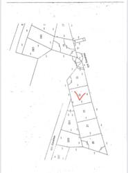   , , ϳ-,   2