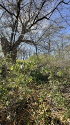 ĳ  - ³    ! 🚀  7