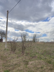 ������ �������� ������ �������� ���� 12