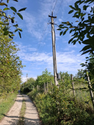   ,    9