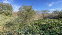 ĳ  - ³    ! 🚀  9