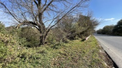 ĳ  - ³    ! 🚀  4