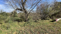 ĳ  - ³    ! 🚀  3