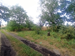 🌱🏡  ĳ   ! 🏞🌳  11