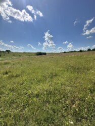 ��������� ������ ������������, ����������� ���� 7