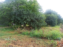 🌱🏡  ĳ   ! 🏞🌳  6