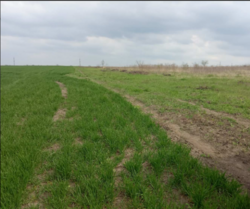 ������ �������� ������ 10 ��� ( 2 ������ �� 10��� ����� ����� =20��� ) ���� 2