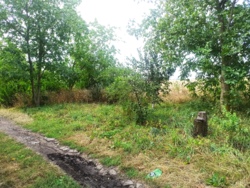 🌱🏡  ĳ   ! 🏞🌳  10
