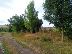 🌱🏡  ĳ   ! 🏞🌳  12