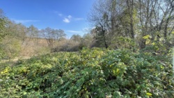 ĳ  - ³    ! 🚀  8