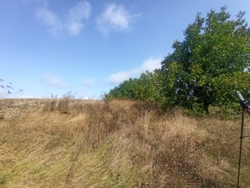 🌱🏡  ĳ   ! 🏞🌳  18