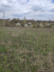 ������ �������� ������ �������� ���� 8