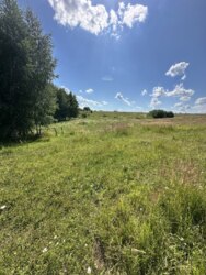 ��������� ������ ������������, ����������� ���� 4