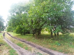🌱🏡  ĳ   ! 🏞🌳  8