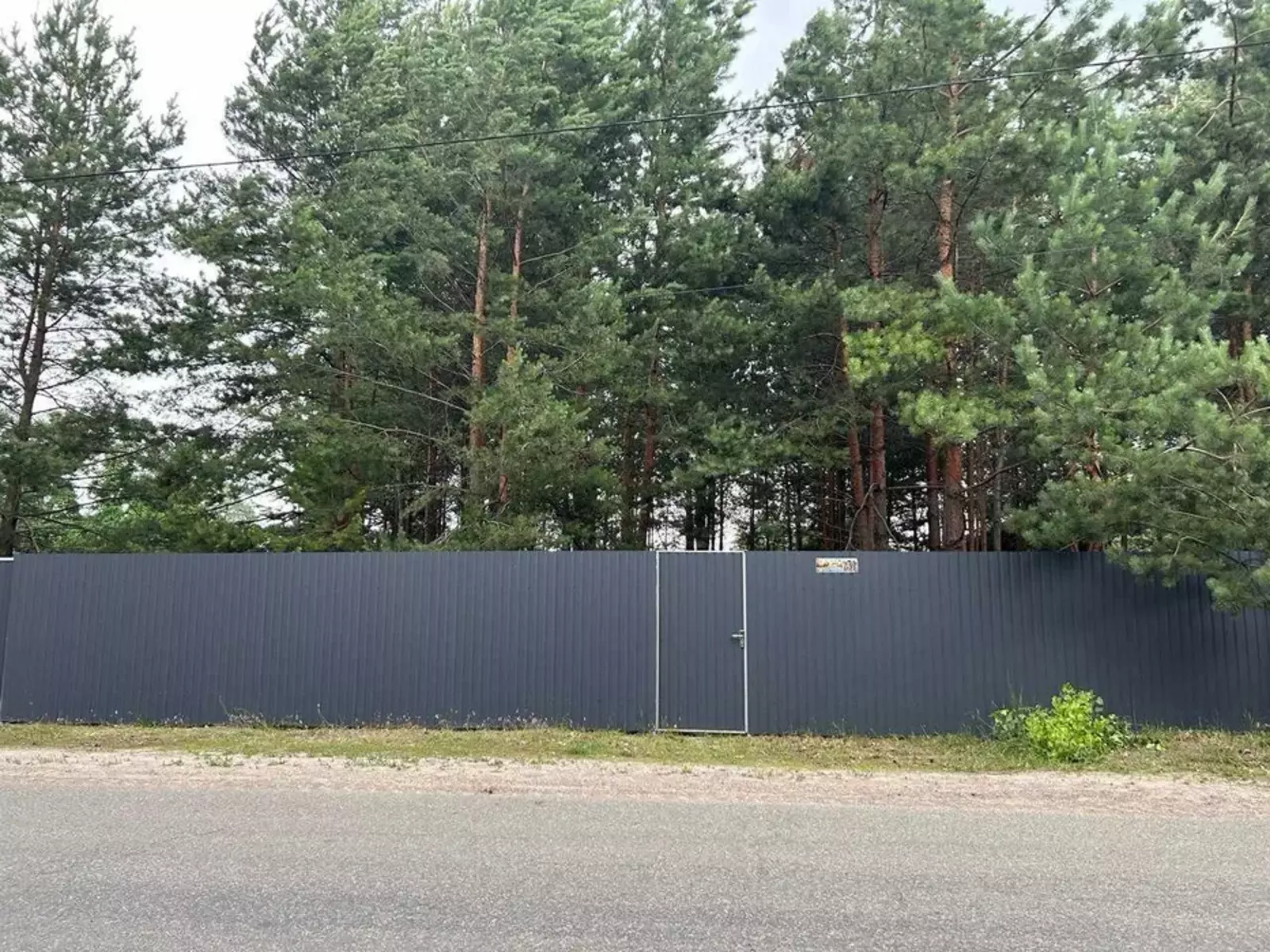 Продам земельну делянку, 10 соток. Ліс. Власник.. фото 1 Продам земельну делянку, 10 соток. Ліс. Власник.. фото 1