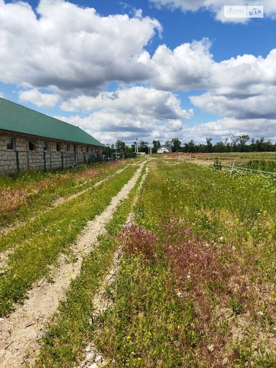 Продам ділянку 6,4 сотих, тарасівка (Боярка) фото 1 Продам ділянку 6,4 сотих, тарасівка (Боярка) фото 1