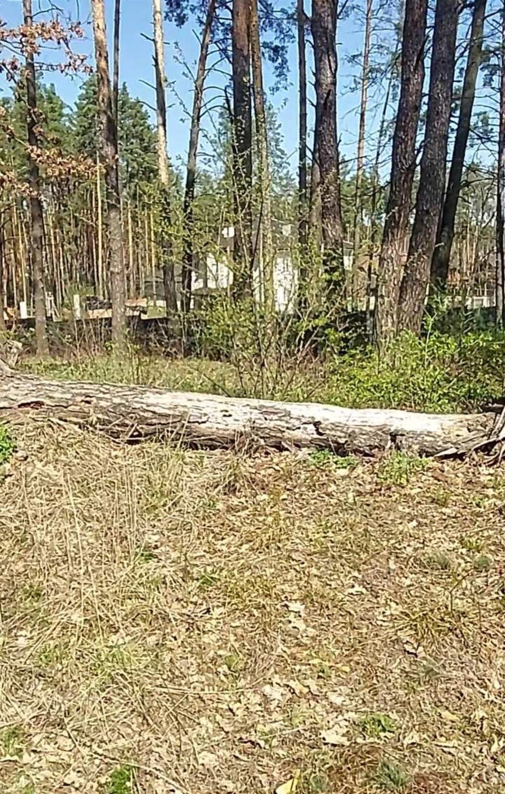    ,      1